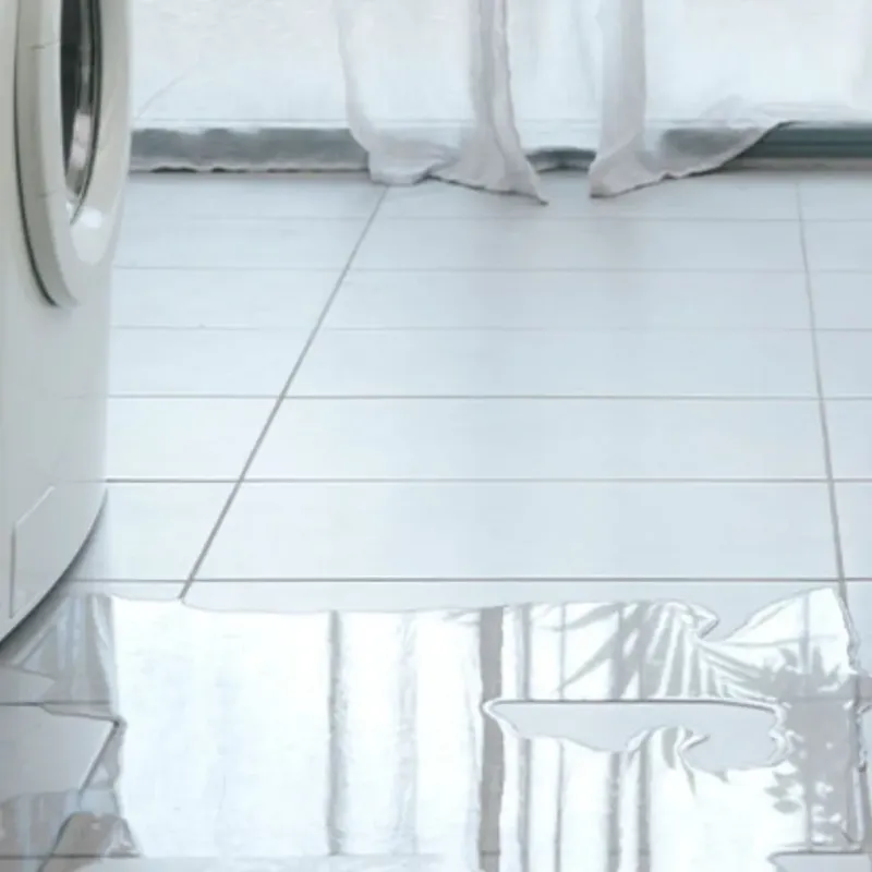 Appliance Leak Cleanup in North Palm Beach, FL